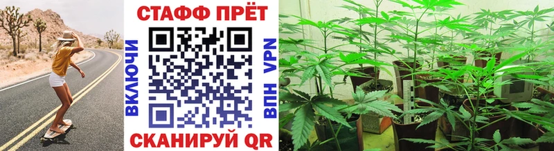 Виды наркотиков купить Порхов Alpha-PVP  МЕФ  LSD-25  АМФЕТАМИН  COCAIN  Каннабис  ГАШ 