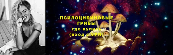ALPHA-PVP Новозыбков