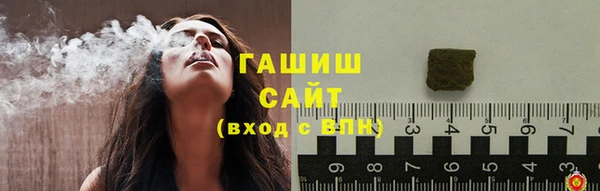 СК Новодвинск