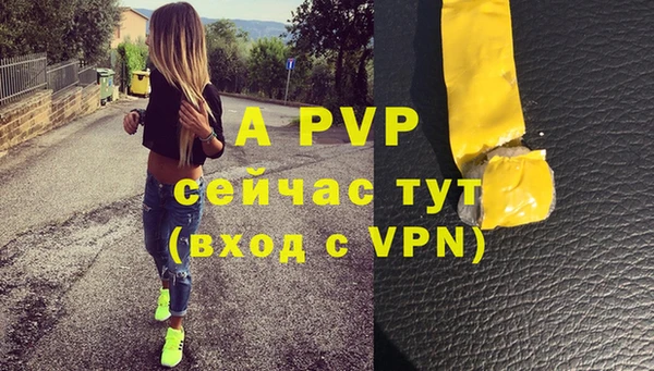 ALPHA-PVP Новозыбков
