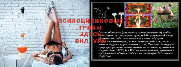 СК Новодвинск