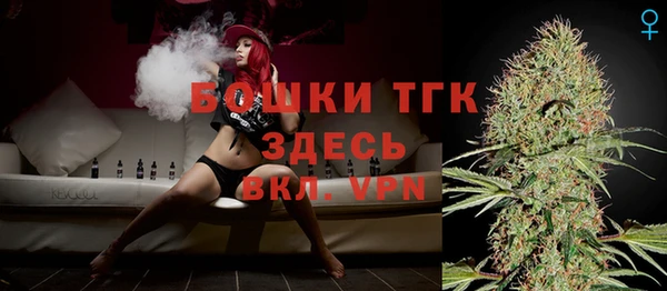 ALPHA-PVP Новозыбков